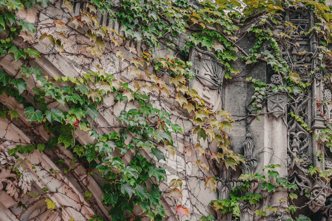 Osmanlı Tarihinin Unutulmuş Kadın Kahramanları