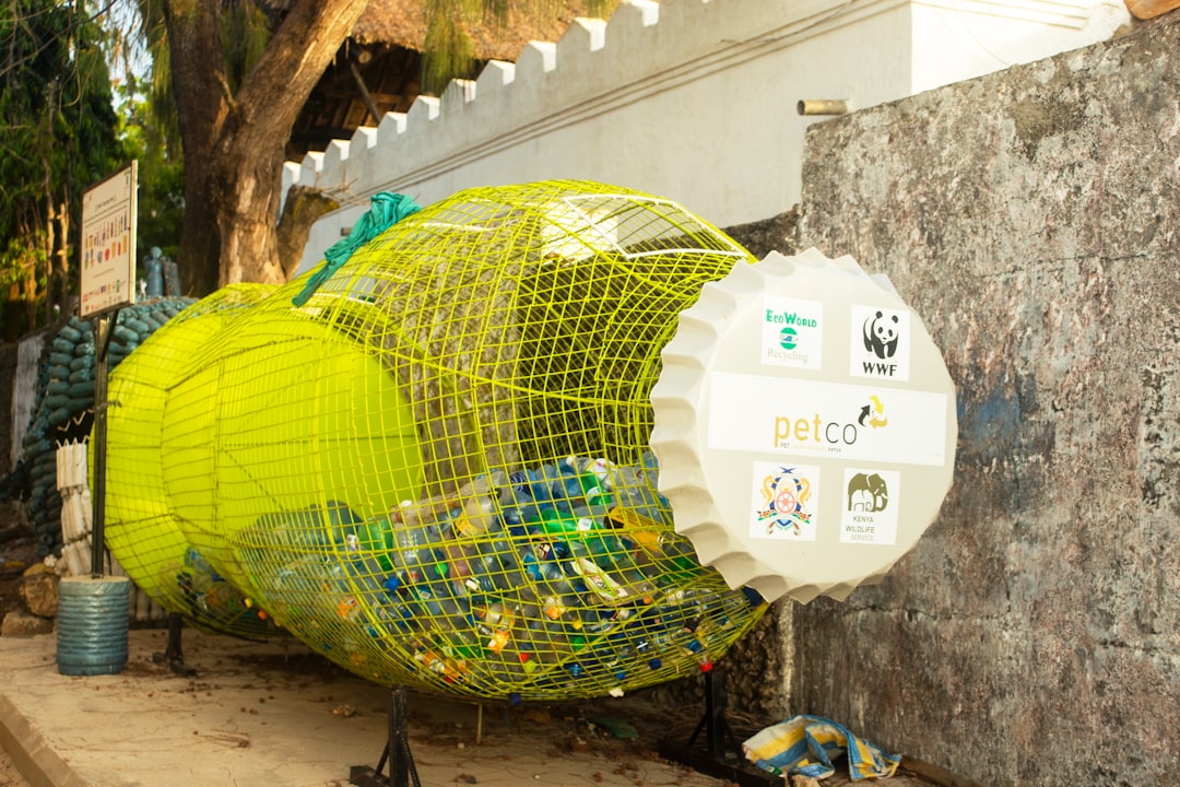 Geri Dönüşüm Mucizesi: Evde Atık Malzemelerle Yaratıcı Dekorasyon Fikirleri