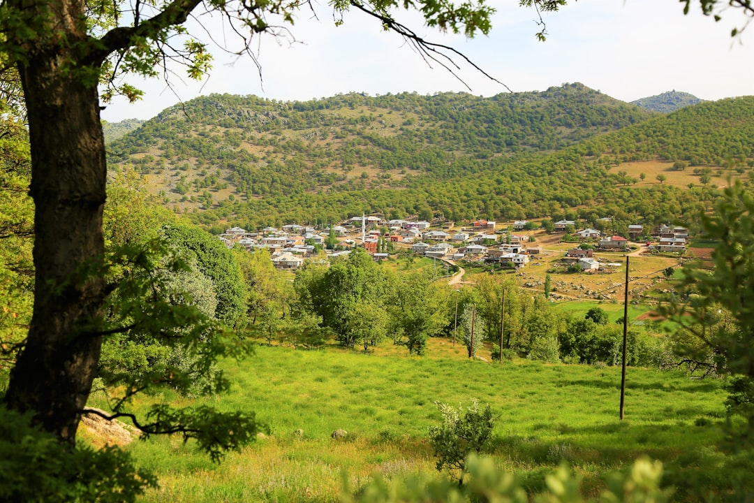 Türkiye’de Sürdürülebilir Yaşam: Eko-Köylerde Alternatif Bir Hayat Deneyimi