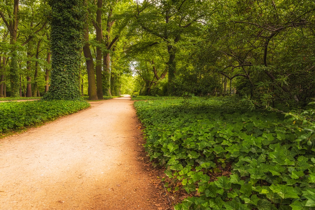 Doğal ve Sürdürülebilir Yaşam Tarzının Gizli Yolları