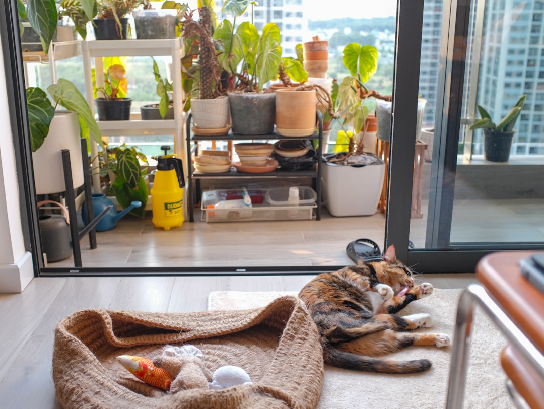 Sürdürülebilir Yaşam Tarzıyla Evde Tasarruf Yöntemleri ve Doğa Dostu Alışkanlıklar