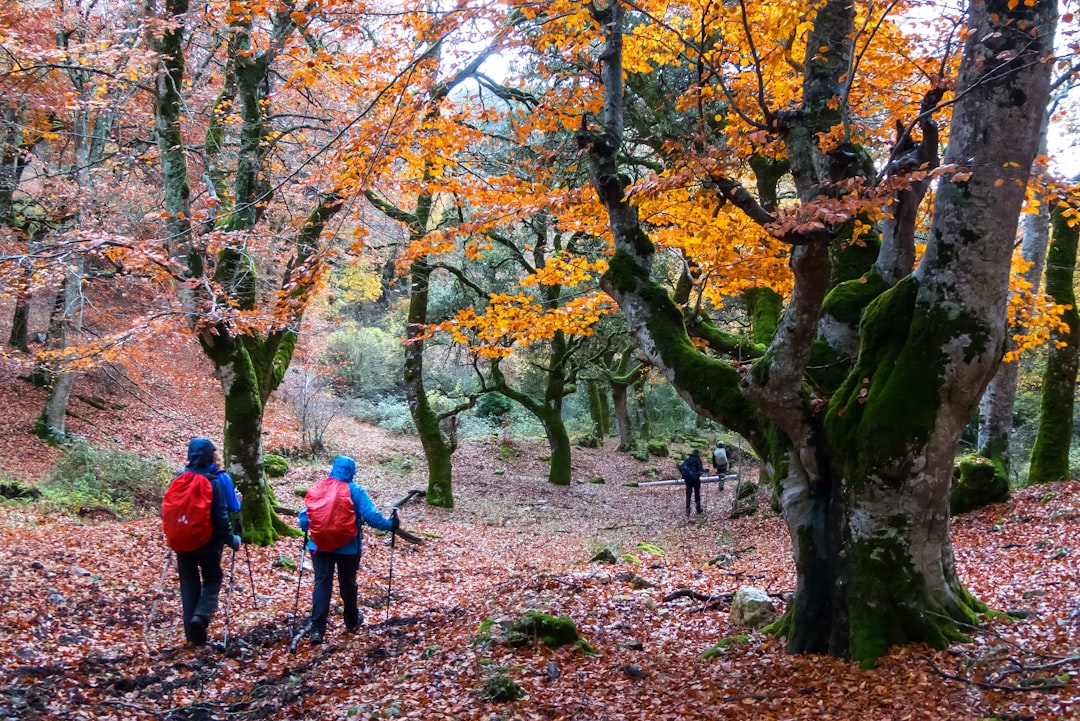 Doğa Yürüyüşleri İçin En İdeal Rotalar ve Hazırlık İpuçları