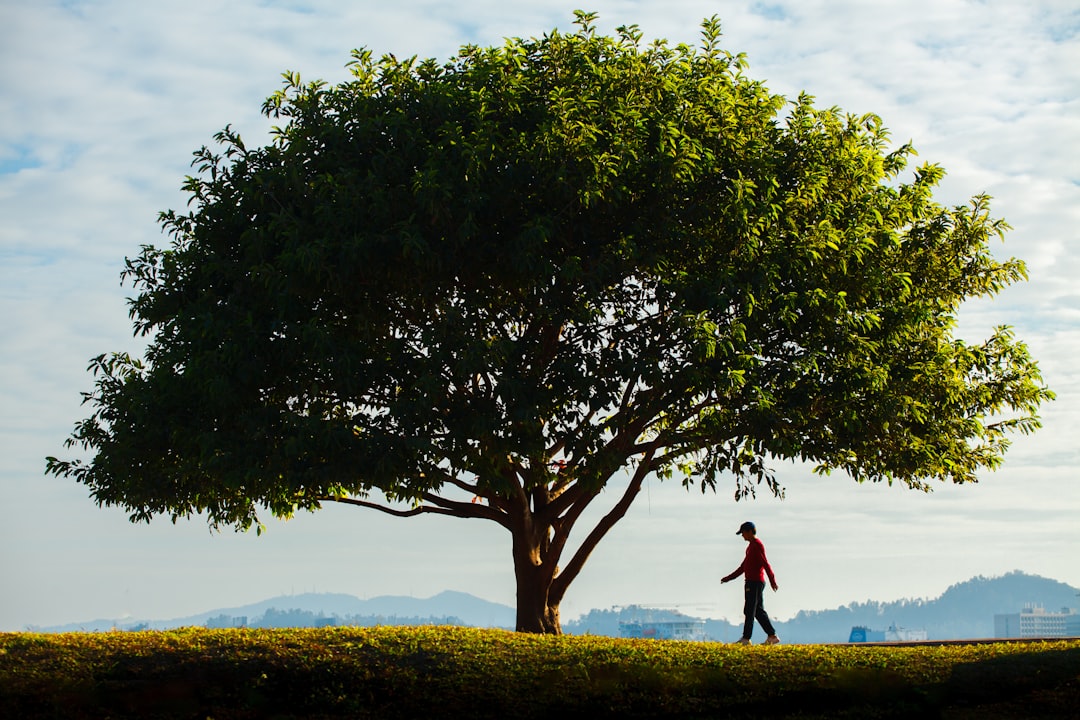 Geleceğin Yaşam Tarzı: Sürdürülebilir Yaşam Modeline Geçişin Getirdikleri ve Götürdükleri