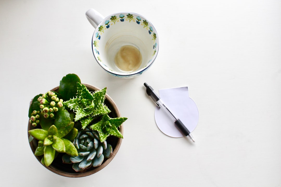 Sağlık ve Zindelik İçin Minimalist Yaşam Tarzının Sırları