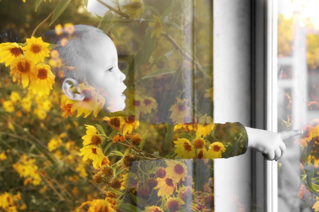 Yapay Zeka Destekli Akıllı Ev Sistemlerinin Günlük Hayatımıza Etkileri