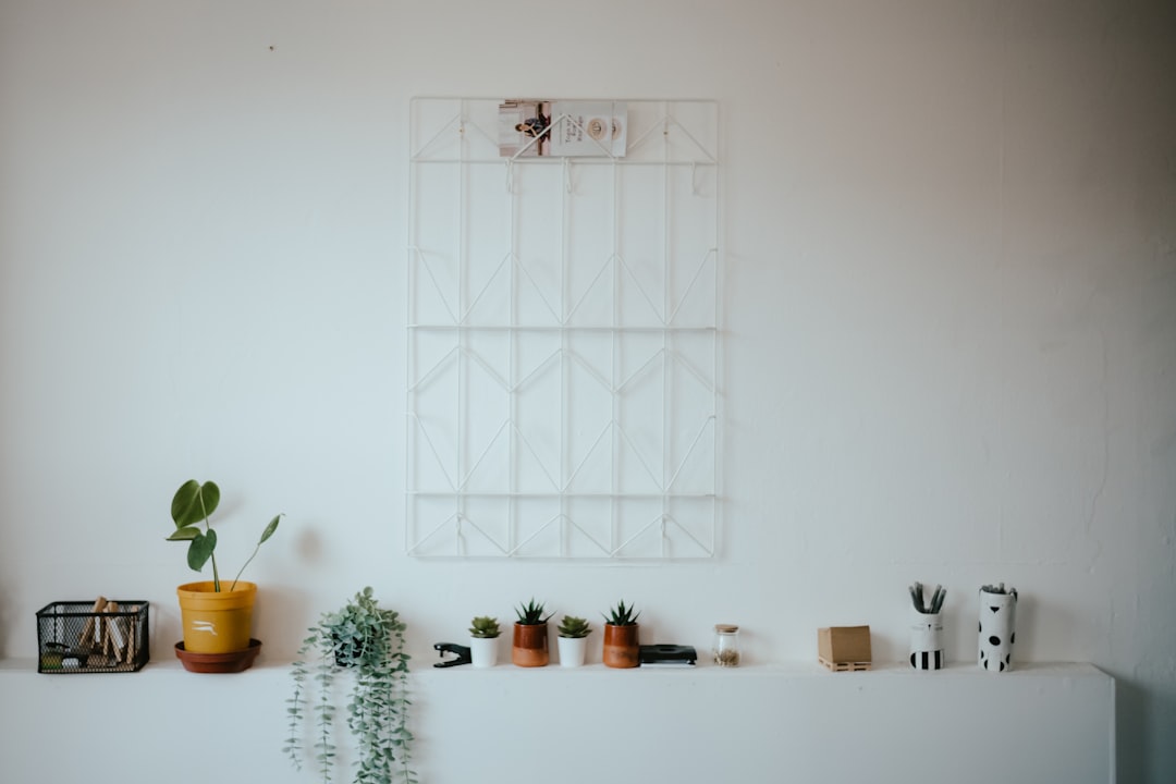 Alternatif Yaşam Biçimleri: Minimalizmden İlham Alınacak Fikirler