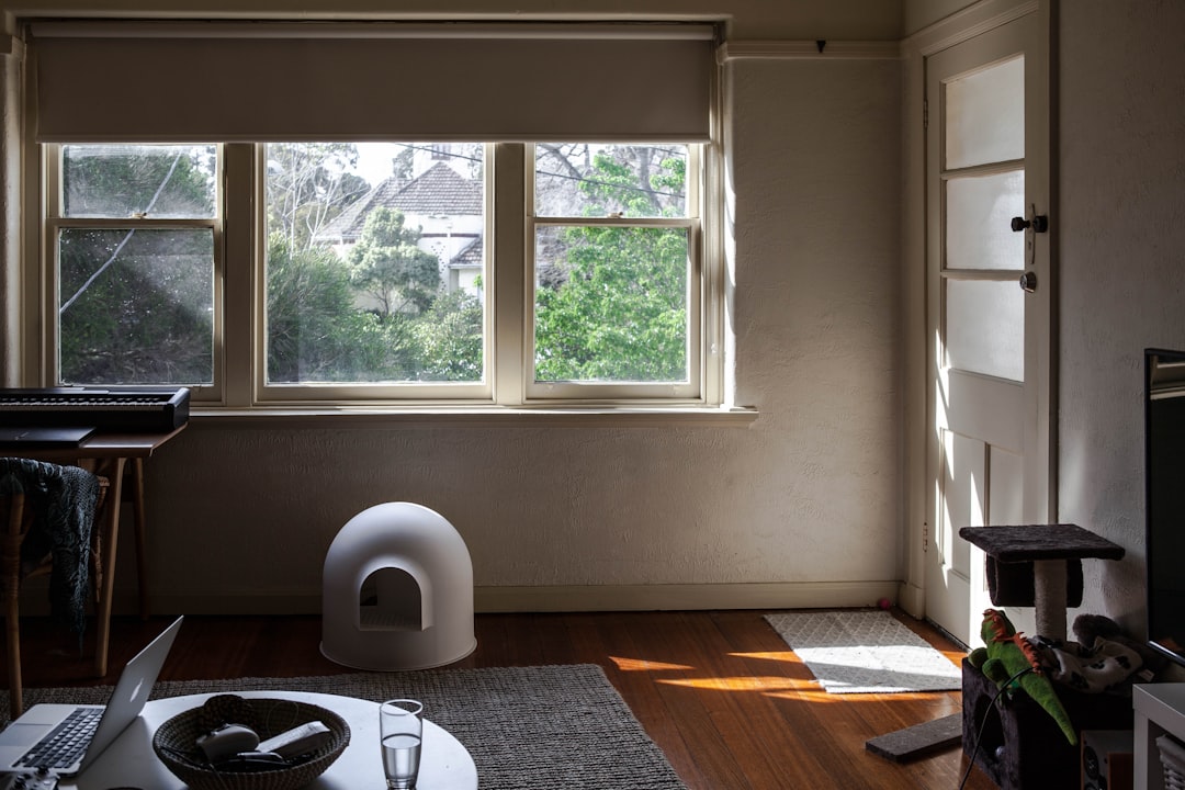 Evde Minimalist Yaşam: Kalabalıktan Uzak, Huzurlu Bir Düzen Kurmanın Yolları