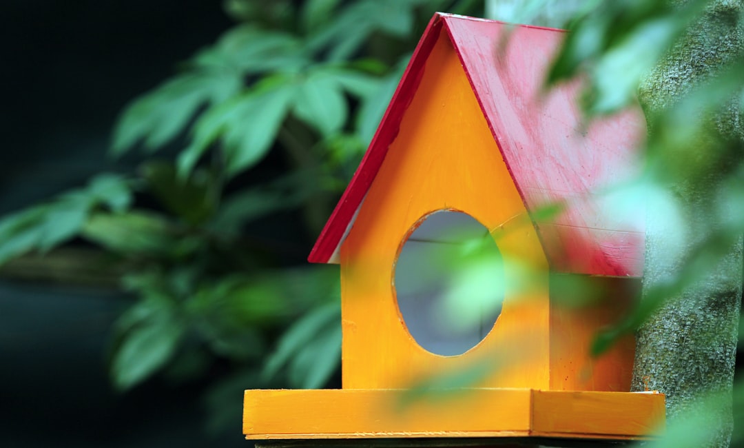 Ev Dekorasyonunda Sürdürülebilir ve Ekolojik Yaklaşımlar