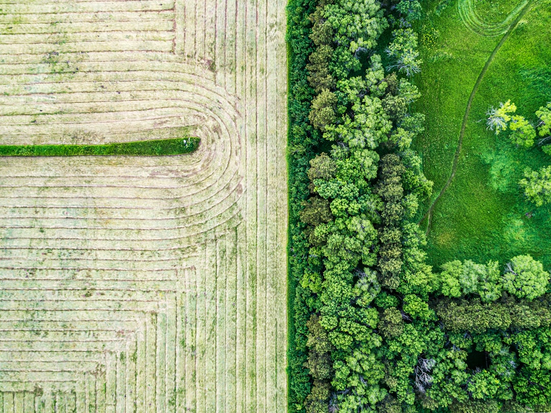 Sürdürülebilir Tarım Yöntemleri ve Geleceği: İklim Değişikliği Çağında İnovatif Çözümler