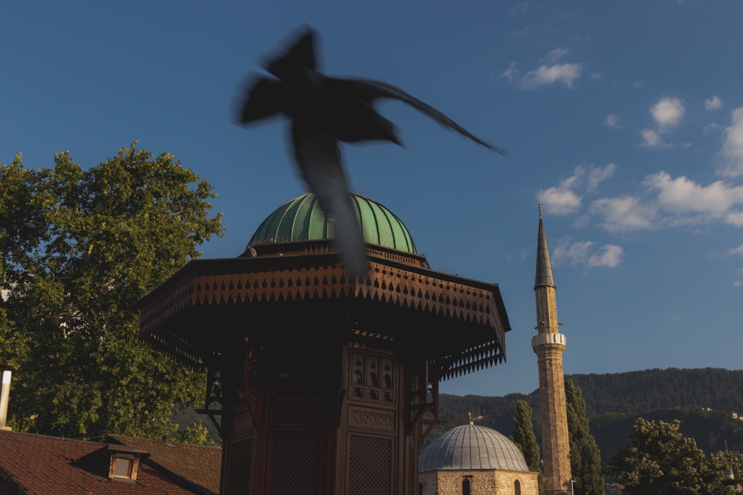 Türkiye’nin Unutulmuş Efsaneleri: Masallar, Mitler ve Gizemli Hikayeler