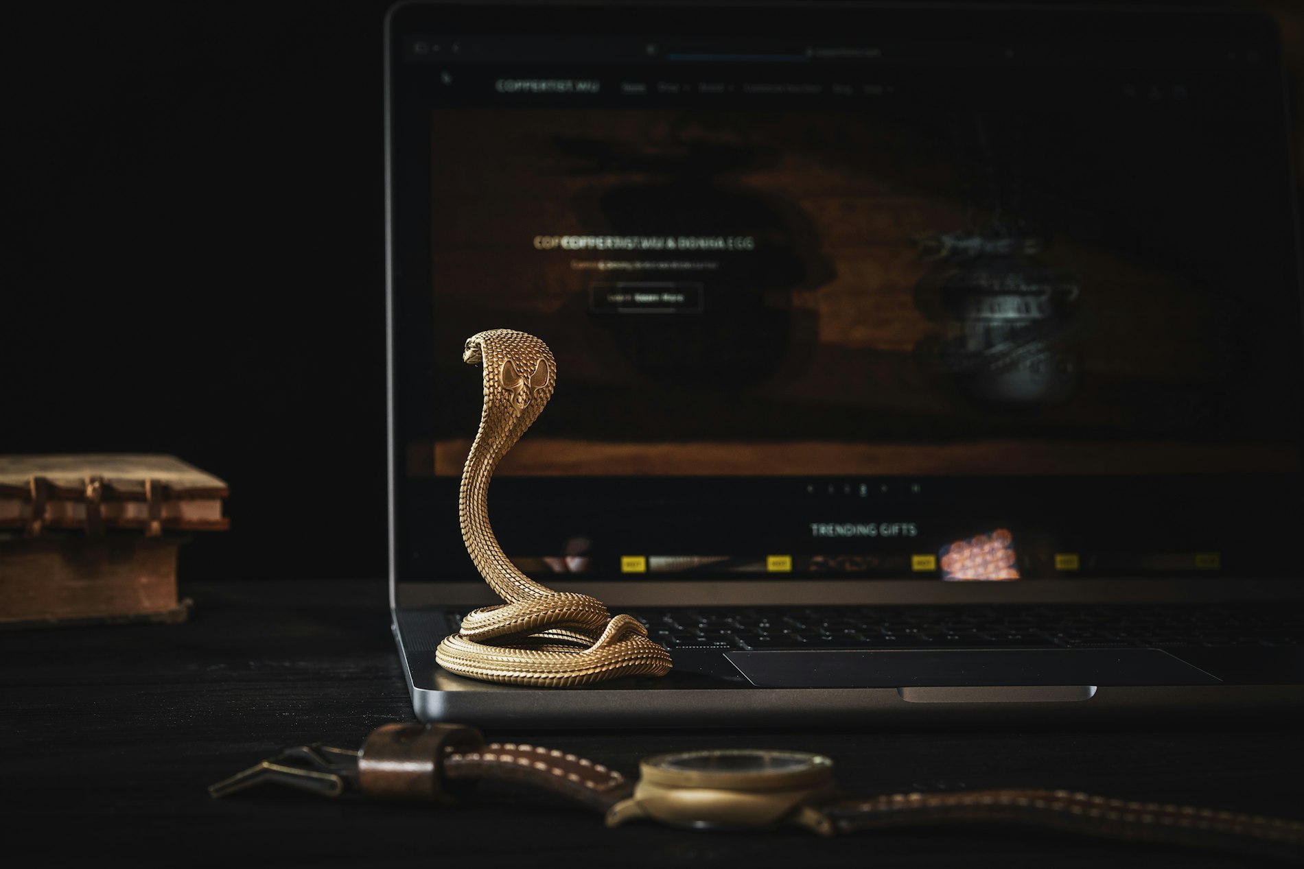 Dijital Becerilerinizi Geliştirin: Python ile Temel ve İleri Düzey Programlama Eğitimi