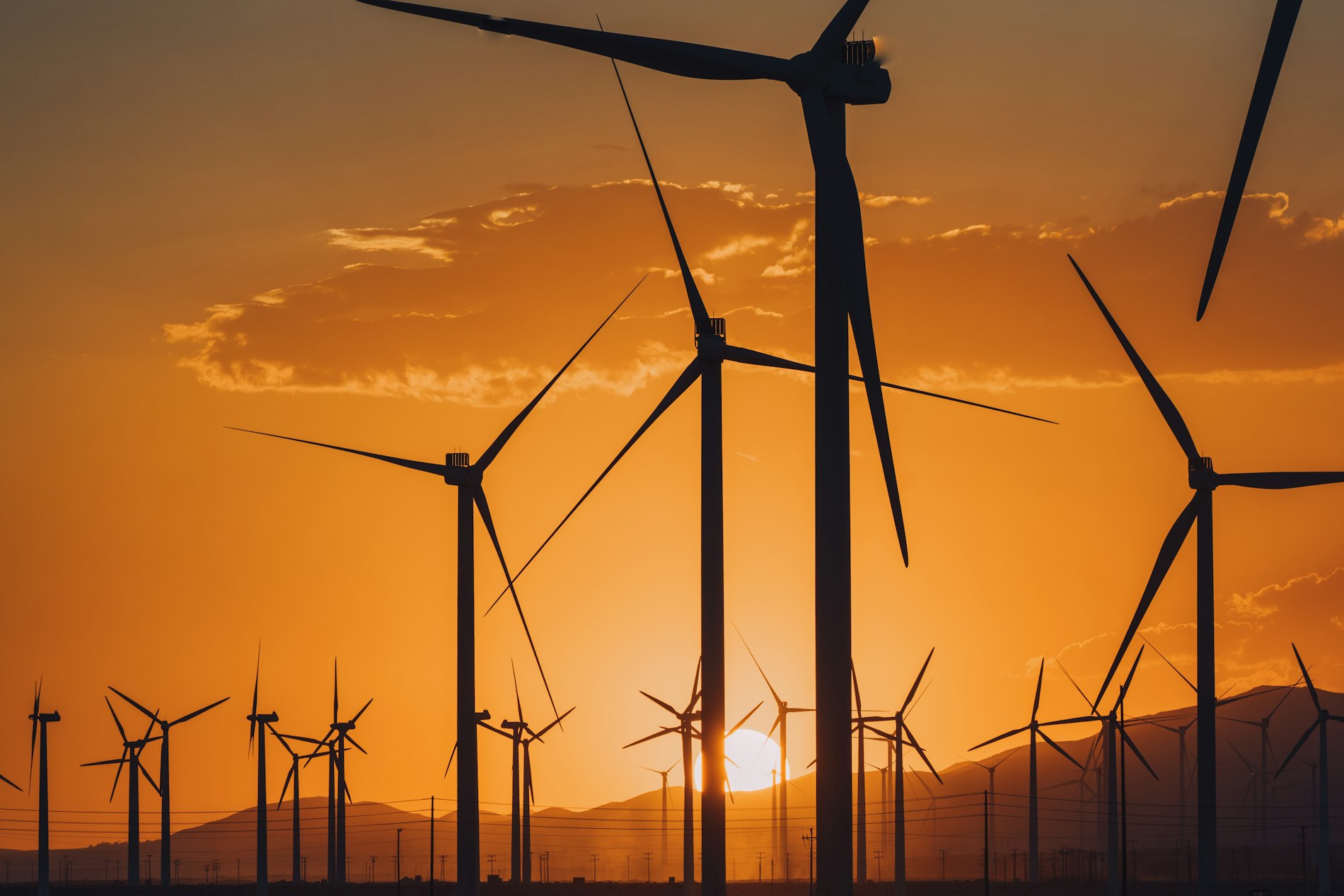 2024 Yılında Yatırım Yapılabilecek En İyi Sürdürülebilir Enerji Kaynakları ve Ekonomik Etkileri