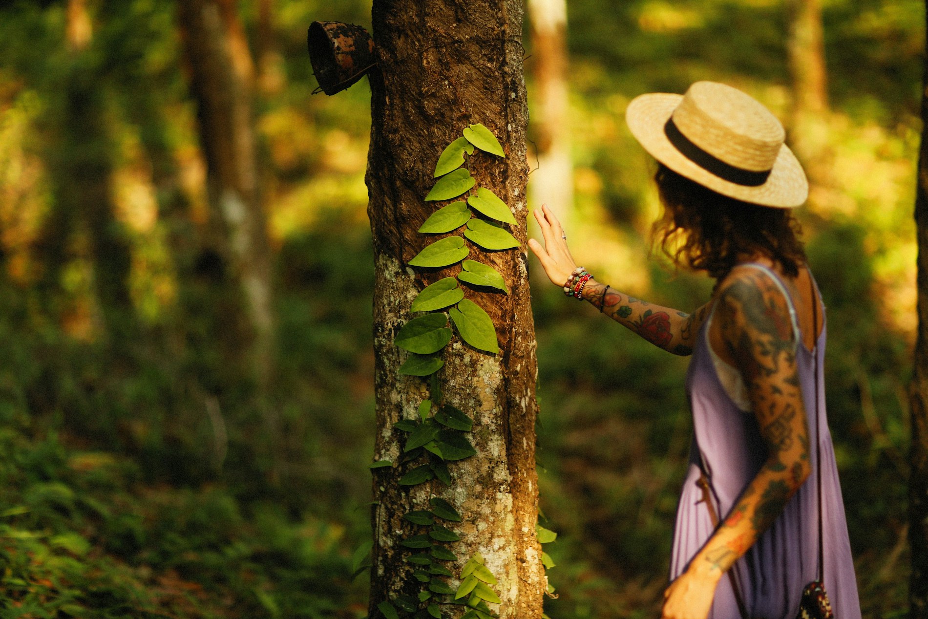 Sürdürülebilir Yaşamın Püf Noktaları: Doğaya Dost Olmak İçin Yapabilecekleriniz