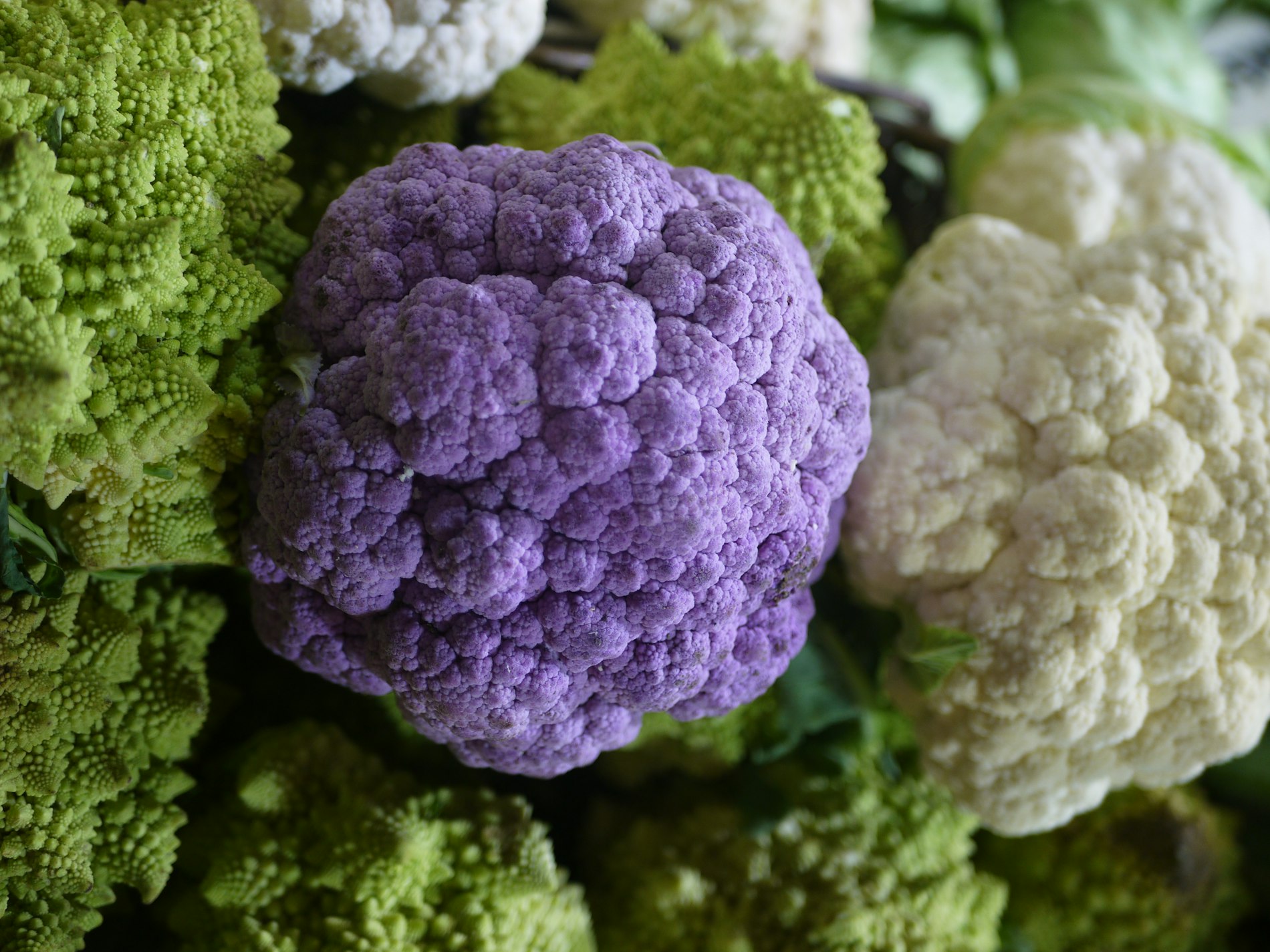 Bağışıklık Sistemini Güçlendiren En Etkili 10 Doğal Yöntem ve Uzman Tavsiyeleri